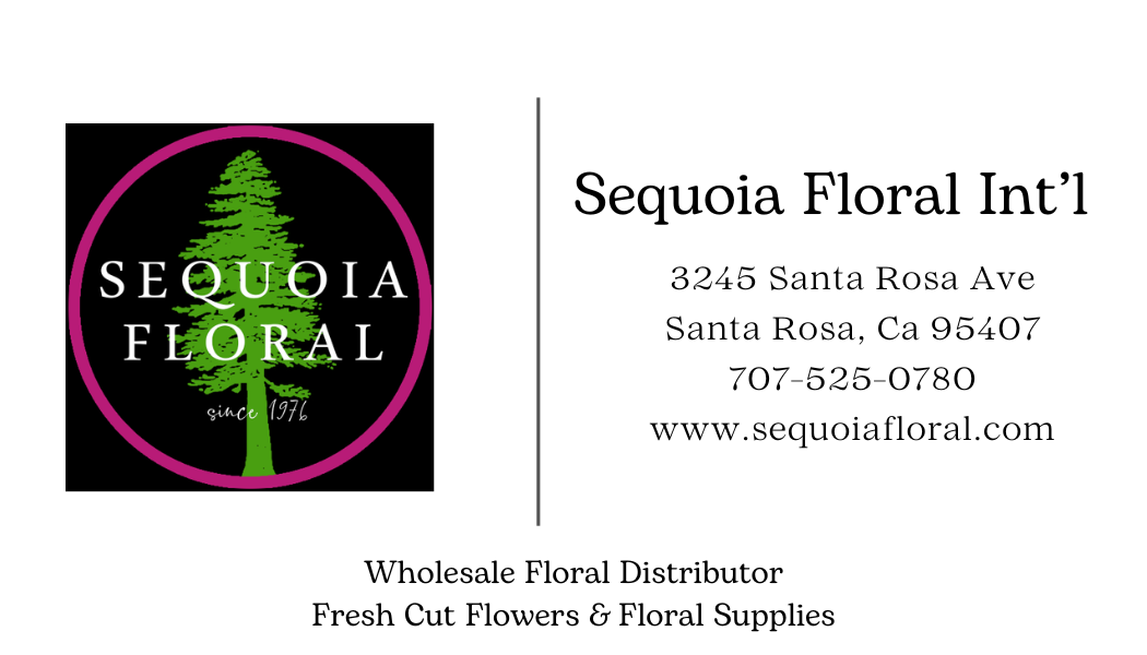 Sequoia Floral